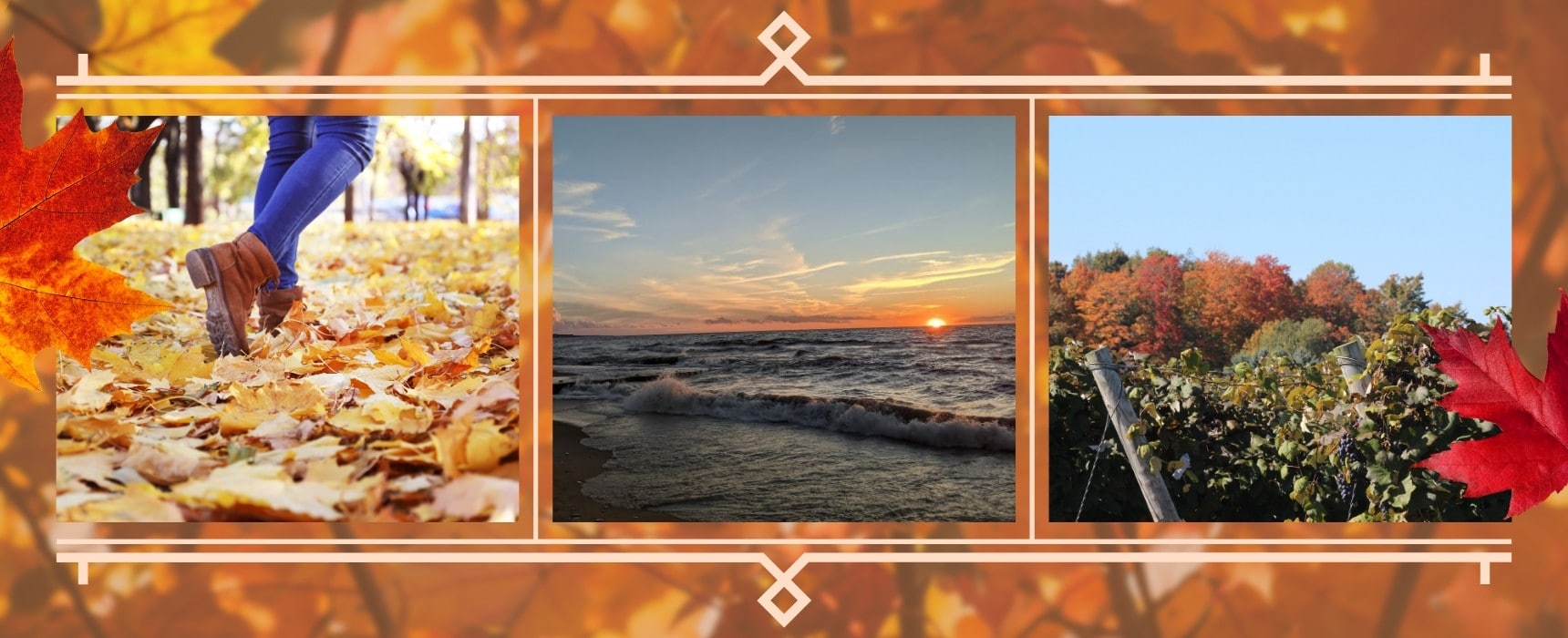 Collage with photo of a walking path in the woods, a view from the beach of a sun setting into the water and a vineyard with fall foliage in the background