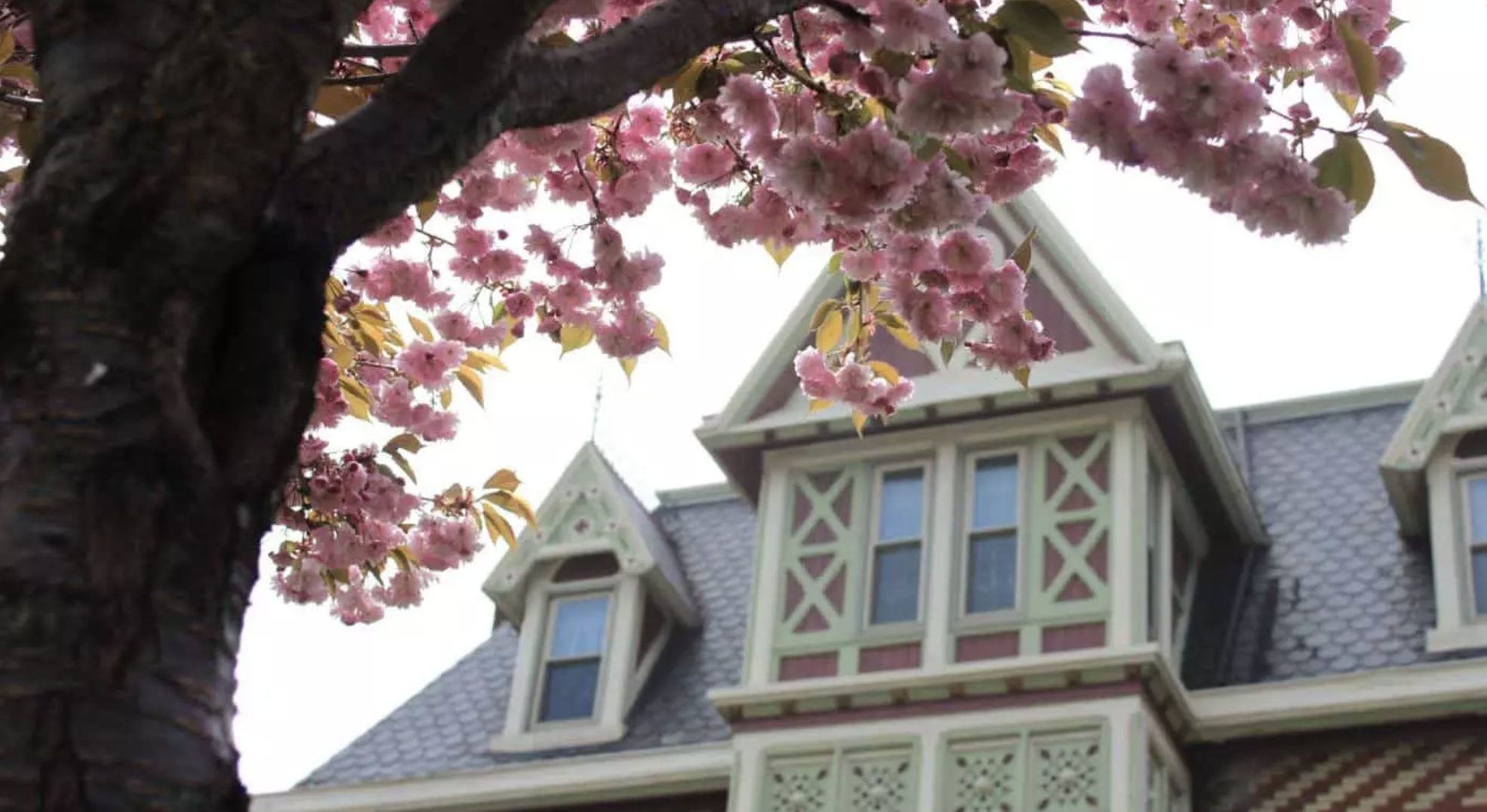 Erie in 2-3 Days: The Perfect Itineraries to Choose From