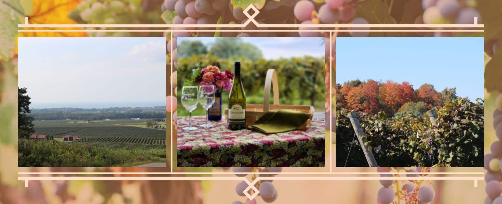 Scenes from Lake Erie Wine Country near Erie, Pennsylvania, including vineyard views, a wine tasting table set among the vines, and fall foliage in the vineyards.