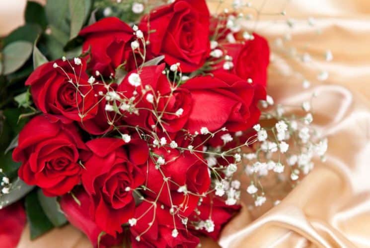 Close up view of a bouquet of red roses