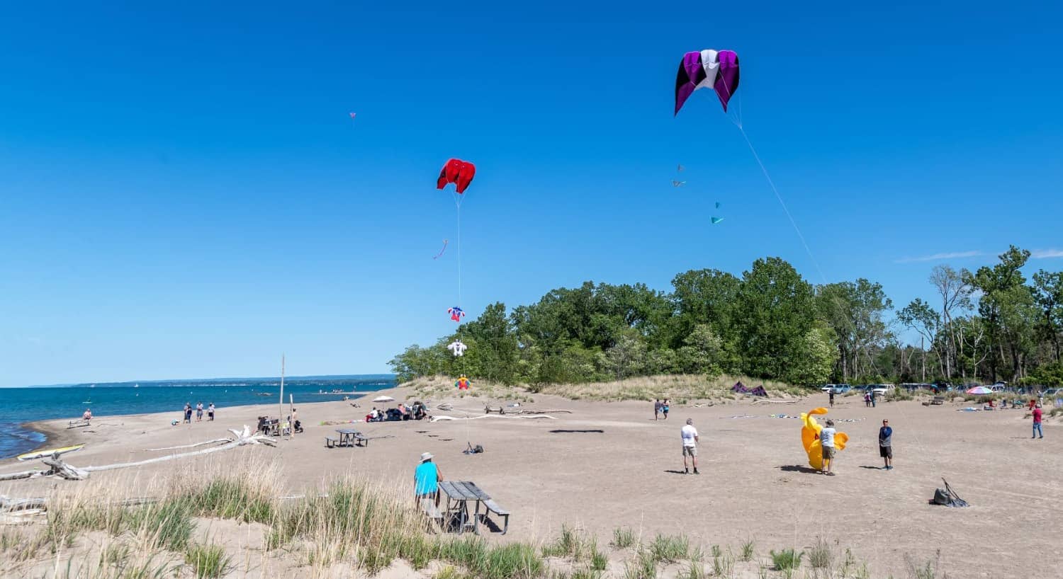 People walking and flying kites on a beach near the water