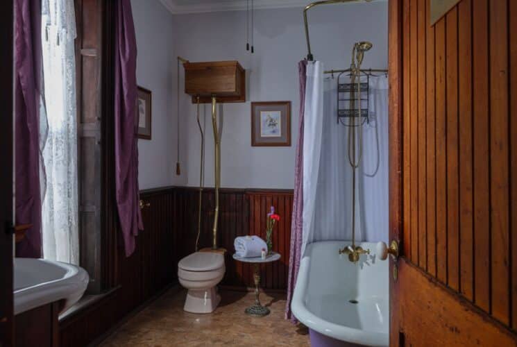 Bathroom with white walls, dark wooden wainscoting, and claw foot tub with shower